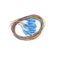 G-LFGNPSCA2M-SMC12